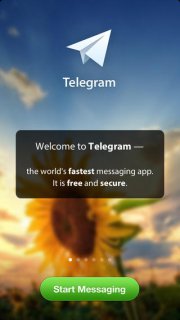 Telegram - Безопастный мессенджер на iPhone и iPad